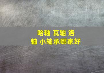 哈轴 瓦轴 洛轴 小轴承哪家好